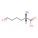 HMDB0001263 structure image