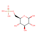 HMDB0001401 structure image