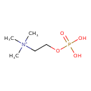 HMDB0001565 structure image