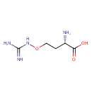 HMDB0002706 structure image