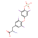 HMDB0002728 structure image