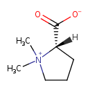 HMDB0004827 structure image